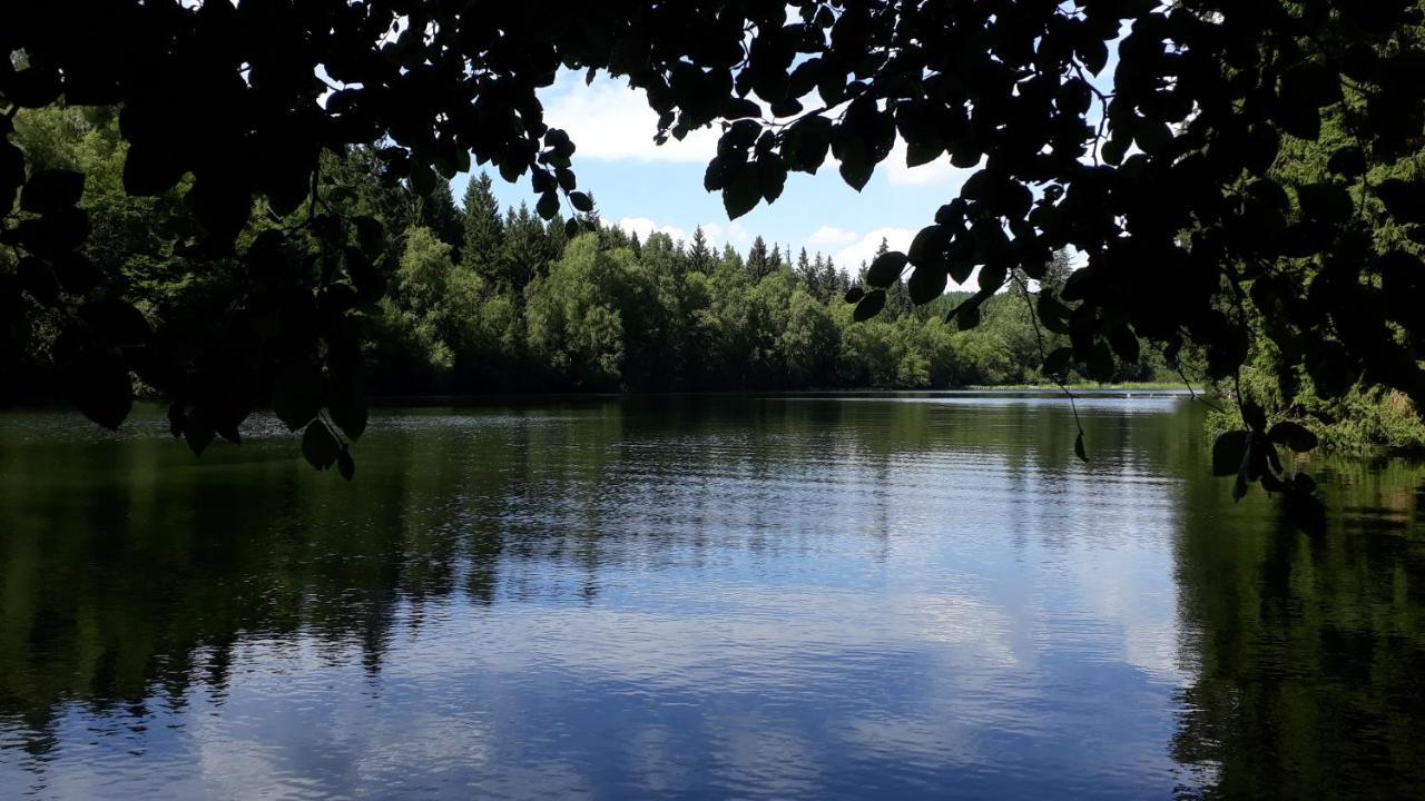 Villa Tannerhof Braunlage Esterno foto