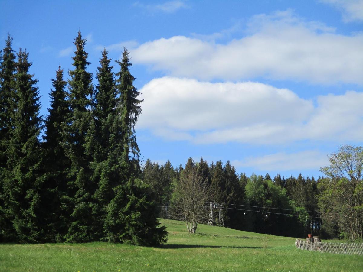 Villa Tannerhof Braunlage Esterno foto