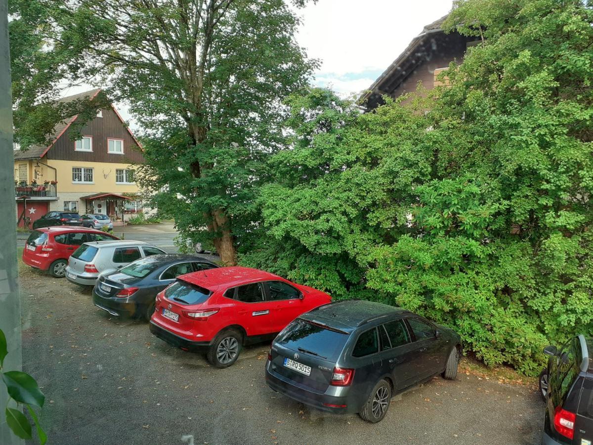 Villa Tannerhof Braunlage Esterno foto